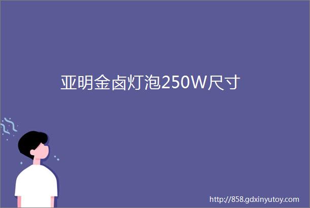 亚明金卤灯泡250W尺寸