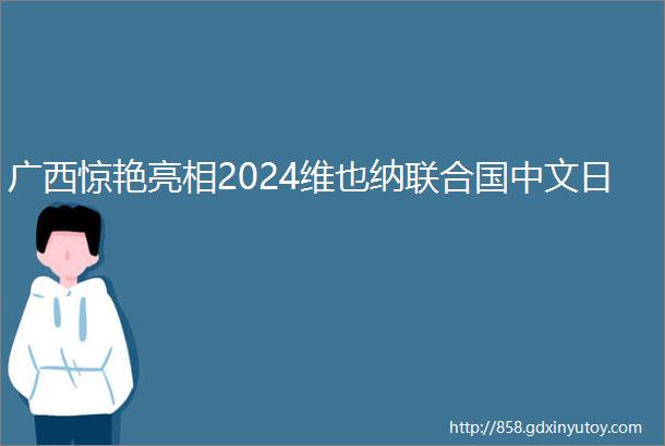 广西惊艳亮相2024维也纳联合国中文日